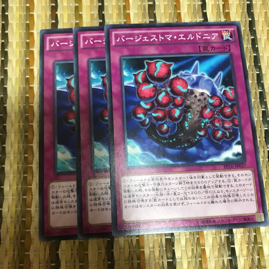 マドレース バージェストマ・エルドニア