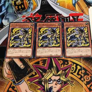 十二獣モルモラット 6 レア 3枚セット てら