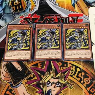 十二獣モルモラット 9 レア 3枚セット てら