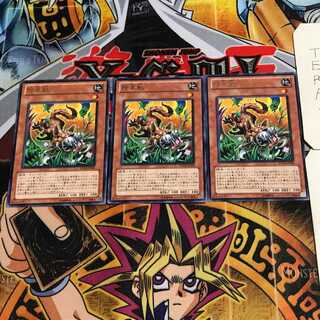 Snyffus 6 rare, set of 3 Tera.