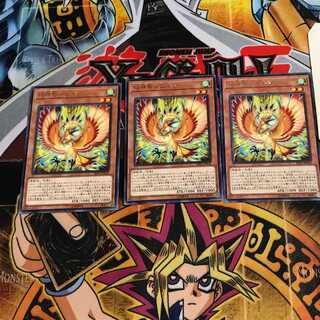 Simorgh, Bird of Bringing 2 rare, set of 3 Tera.