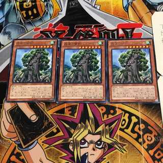 森羅の賢樹 シャーマン 5 レア 3枚セット てら