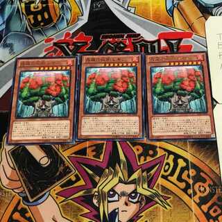 森羅の仙樹 レギア 5 レア 3枚セット てら