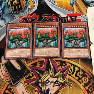 森羅の仙樹 レギア 9 レア 3枚セット てら