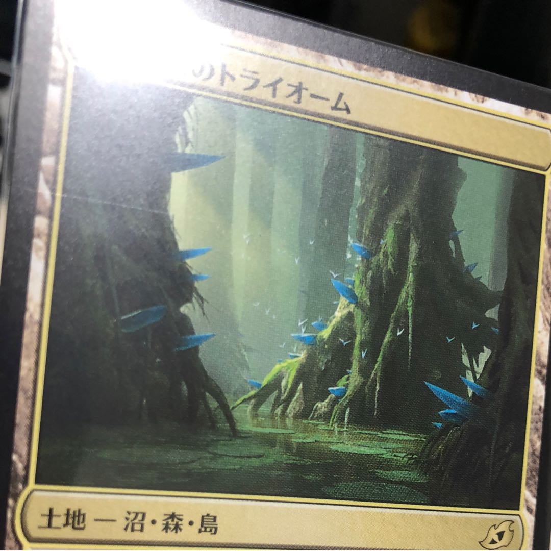 サヴァイ、ケトリア、ゼイゴスのトライオーム