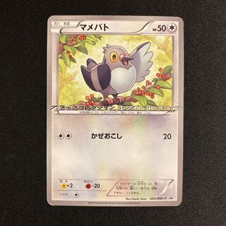 i270 Pidove Promo Black Collection HoWight Collection Pokémon Treasurer