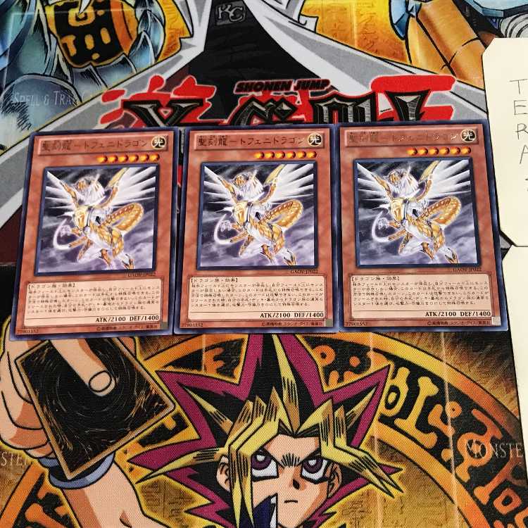 Holy Engraving Dragon - Tofeni Dragon 6 Rare Set of 3 Tera.