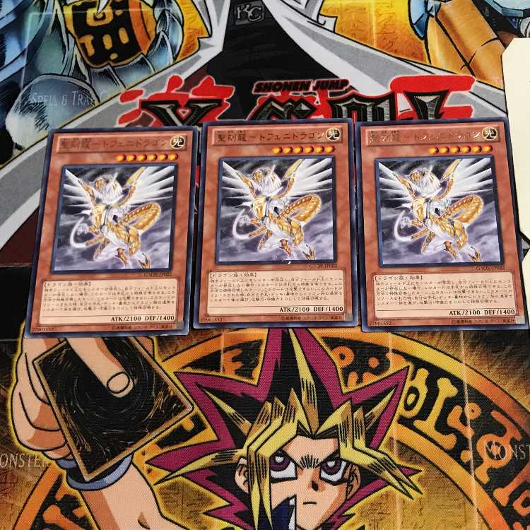 Holy Engraving Dragon - Tofeni Dragon 9 Rare Set of 3 Tera.