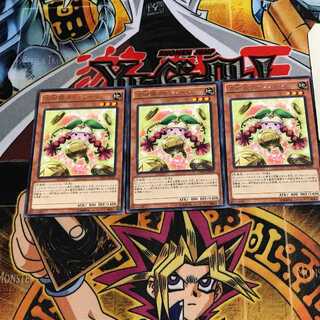 Prediction Princess Coinorma 6 rare, set of 3 Tera