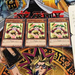 Prediction Princess Coinorma 9 rare, set of 3 Tera.