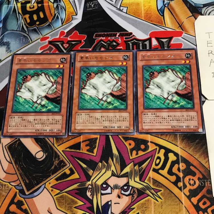 Nimble Momonga 2 rare, set of 3 Tera.