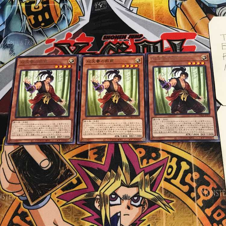 Dual Avatar Fists - Yuhi 10 rare, set of 3 Tera.