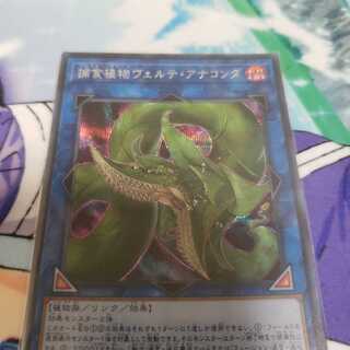 捕食植物ヴェルテアナコンダ シークレットレア