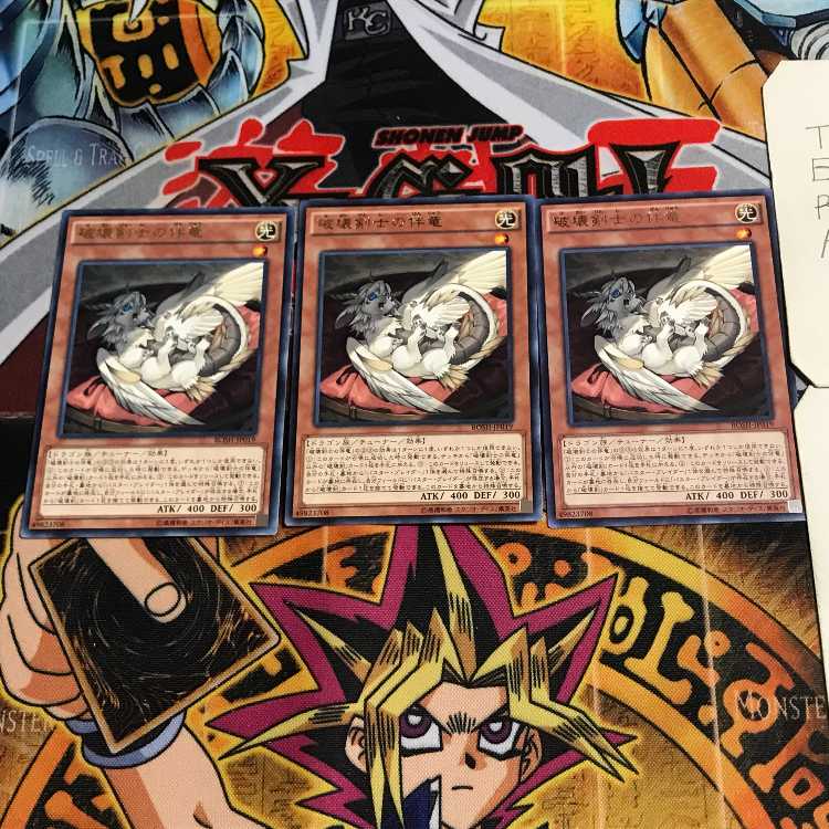 Buster Whelp of the Destruction Swordsman 6 rare, set of 3 Tera.