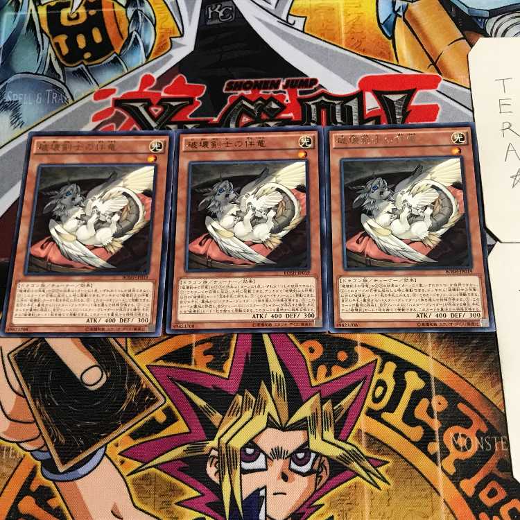 Buster Whelp of the Destruction Swordsman 7 rare, set of 3 Tera.