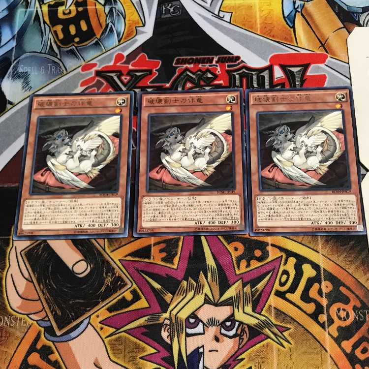 Buster Whelp of the Destruction Swordsman 8 rare, set of 3 Tera.