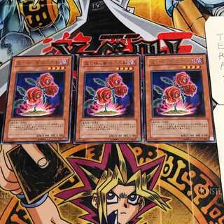 Revival Rose 6 rare, set of 3 Tera