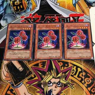 Revival Rose 8 Rare Set of 3 Tera