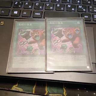 魔獣の懐柔 2枚セット