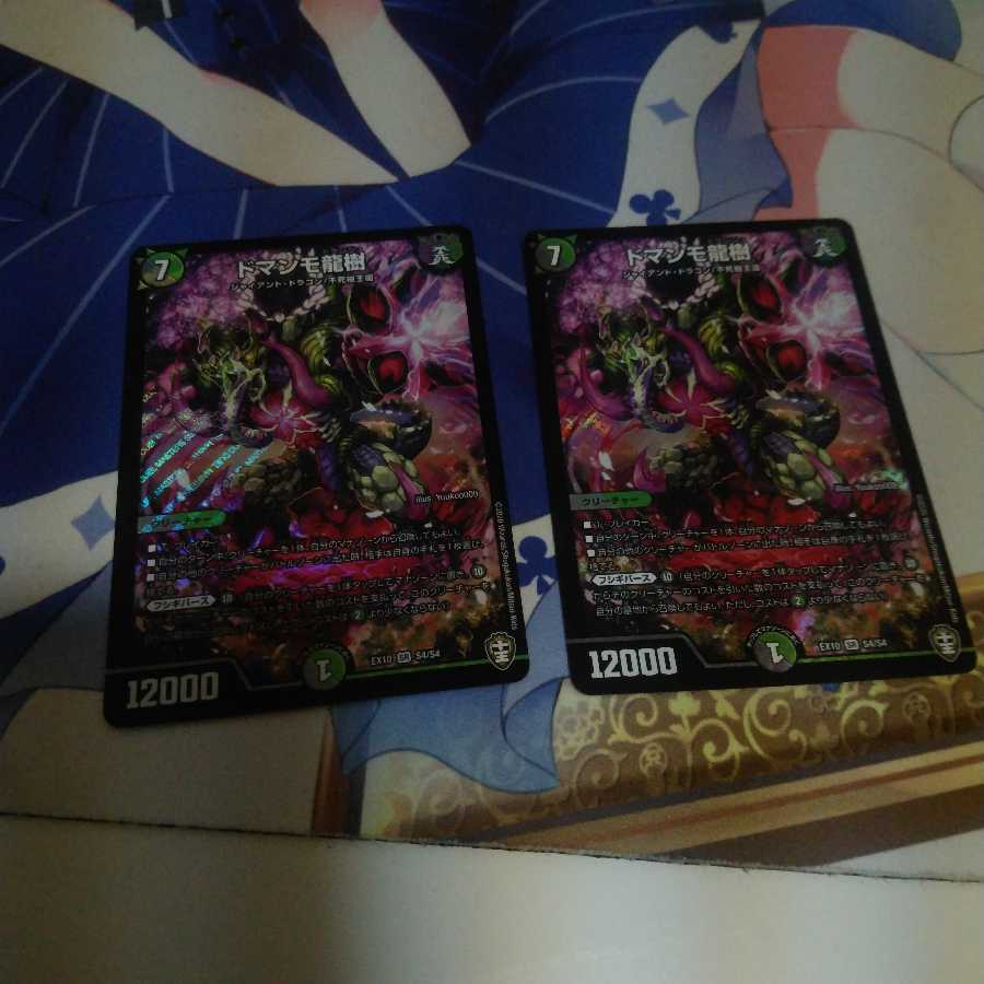 ドマンモ龍樹2枚セット