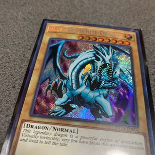 ブルーアイズ　ドラゴン　英　レア