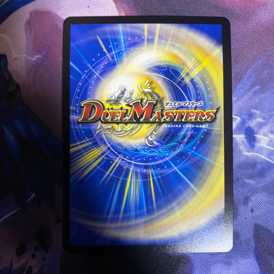 「絶対の盾騎士」