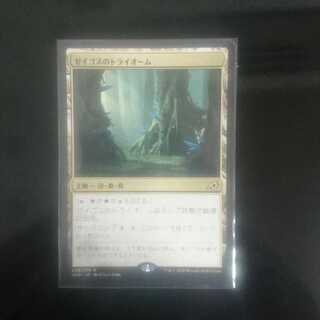 ゼイゴスのトライオーム