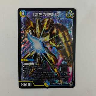 「雷光の聖騎士」