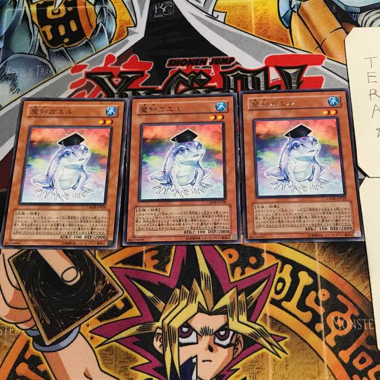 Dupe Frog 9 rare, set of 3 Tera.