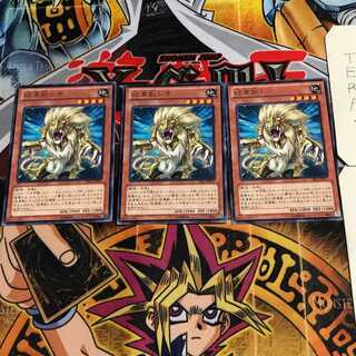 Heraldic Beast Leo 8 rare, set of 3 Tera.