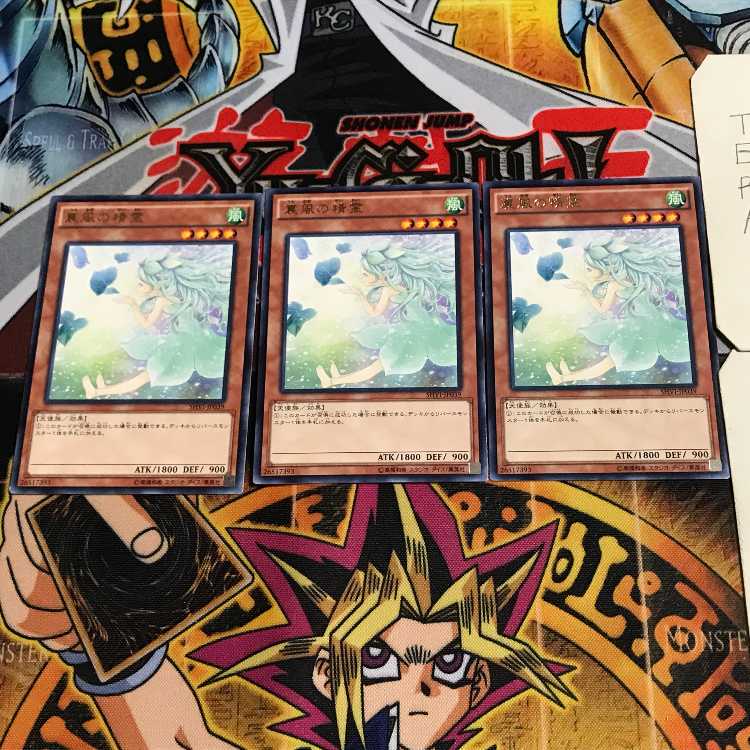 Spirit of the Fall Wind 7 rare, set of 3 Tera.