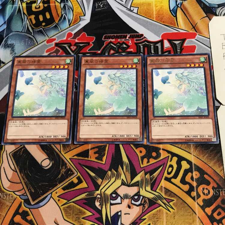 Spirit of the Fall Wind 10 rare, set of 3 Tera.