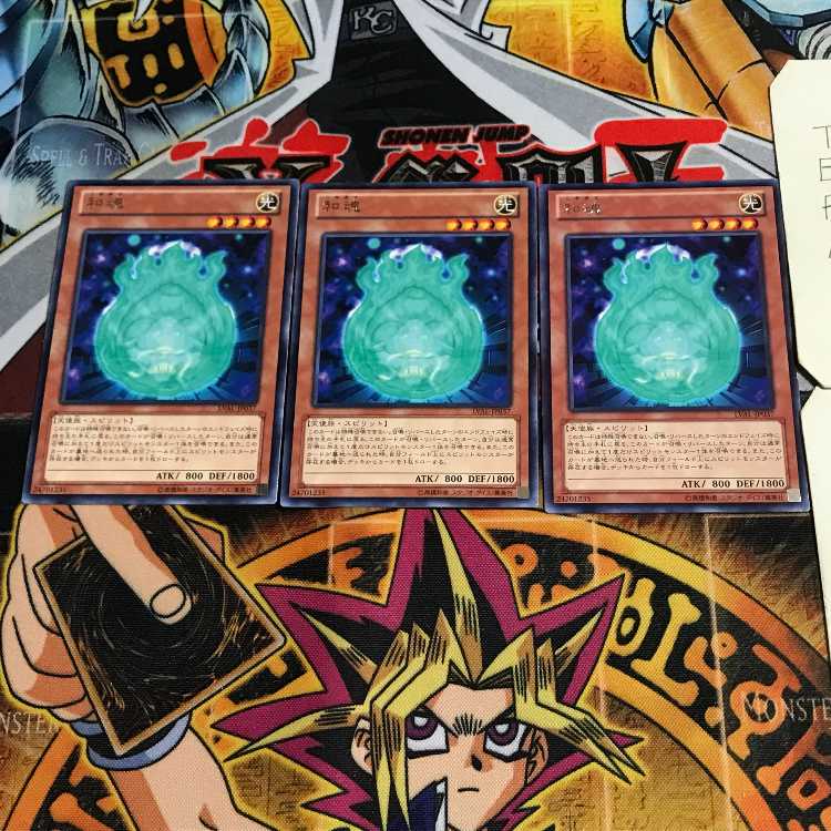 Nikitama 8 Rare Set of 3 Tera