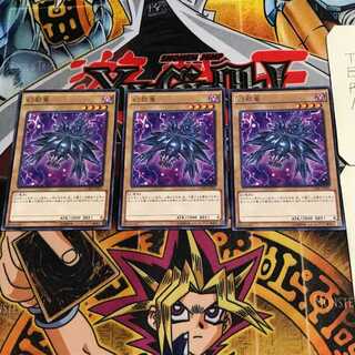 Mystery Shell Dragon 7 rare, set of 3, Tera.