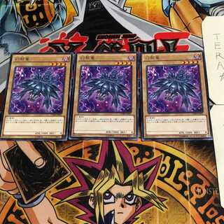 Mystery Shell Dragon 10 rare, set of 3, Tera.