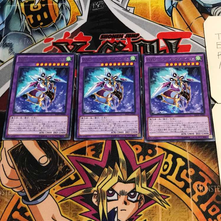 WW-Q Squirrel Tal Bianca 4 rare, set of 3 Tera