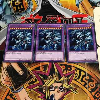 青眼の究極竜 8 レア 3枚セット てら