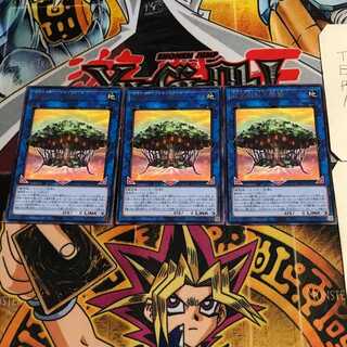 Sunavalon Dryanome 6 rare, set of 3 tera