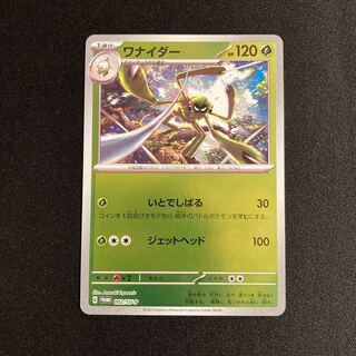 i284 wanider promo pokémon trekkie