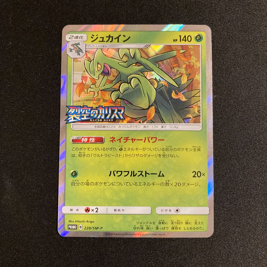ポケモンカード　BOX 特典　プロモ　ジュカイン　裂空のカリスマ　など　10枚 i286 ジュカイン プロモ 裂空のカリスマ ポケモン トレトレ 1枚の通販