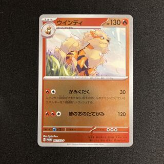 ウィンディ プロモ」の激安通販 | magi