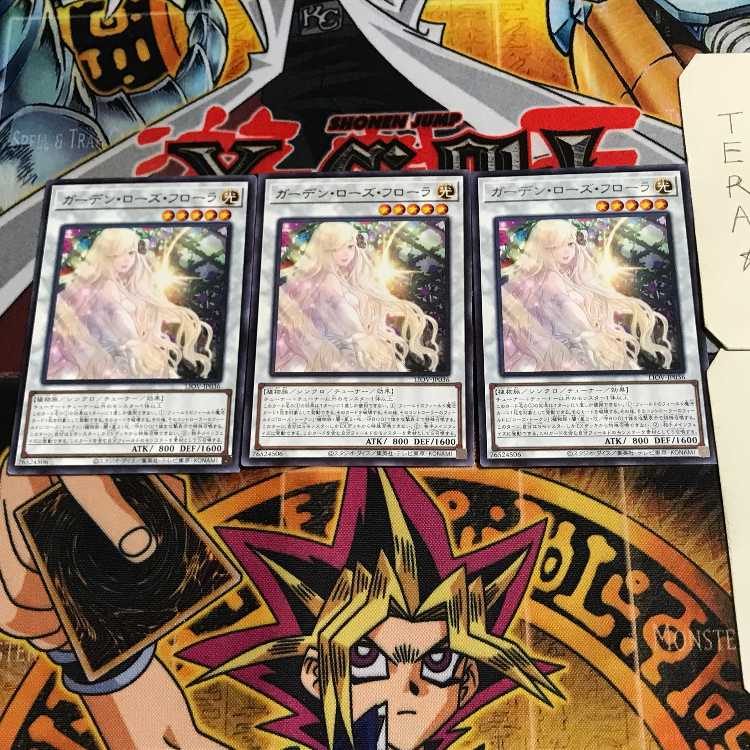 Garden Rose Flora 9 rare, set of 3 tera