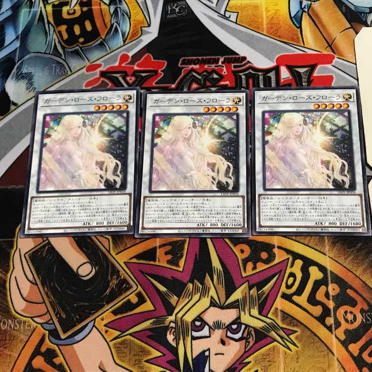 Garden Rose Flora 10 rare, set of 3, Terra