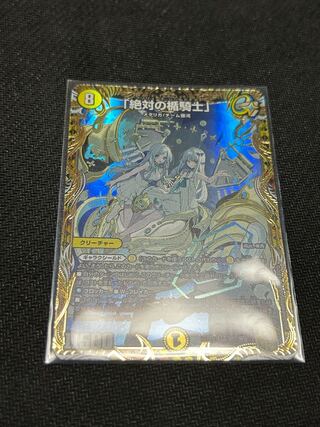 Absolute shield knight