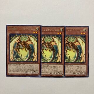 Hundred Apple Dragon - Ringo Blum Rare JP029