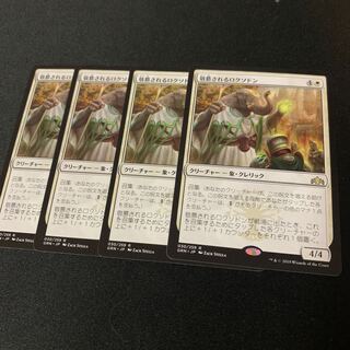 敬慕されるロクソドン