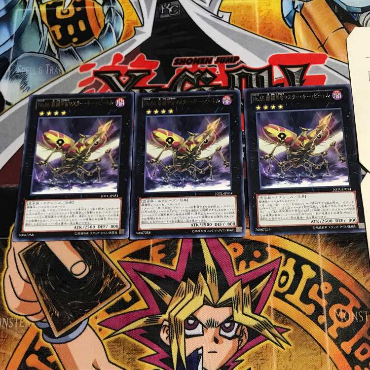 Number 66: Master Key Beetle 8 rare, set of 3, Tera.