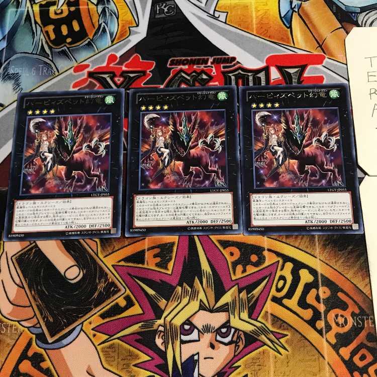 ハーピィズペット幻竜 10 レア 3枚セット てら 3枚