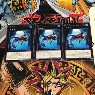 Shark Caesar 6 rare, set of 3 Tera.