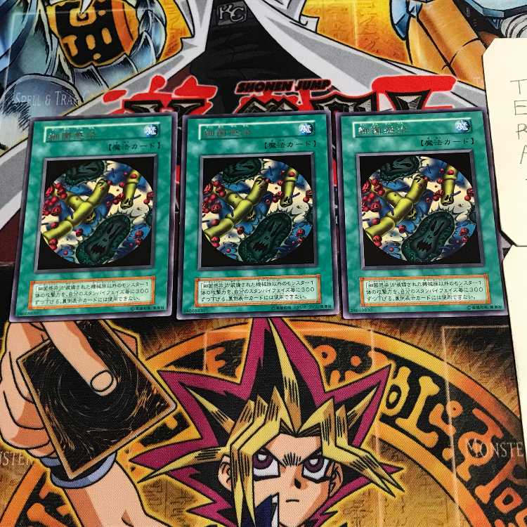 細菌感染 4 初期 レア 3枚セット てら